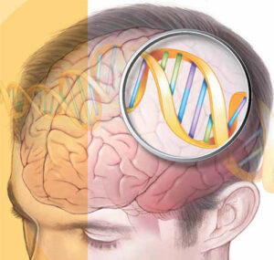 Genetics and Neurology