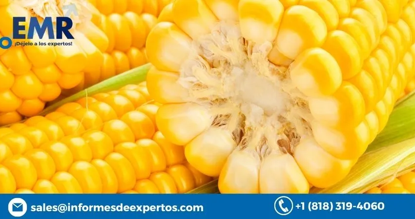 Global Corn Market
