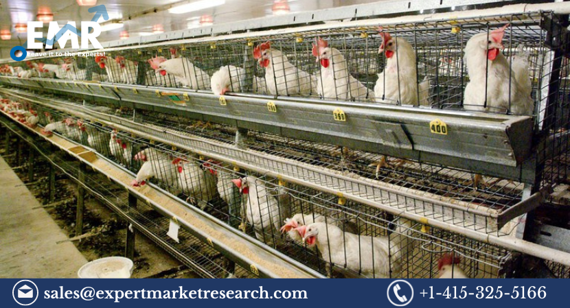 India Poultry Management Market