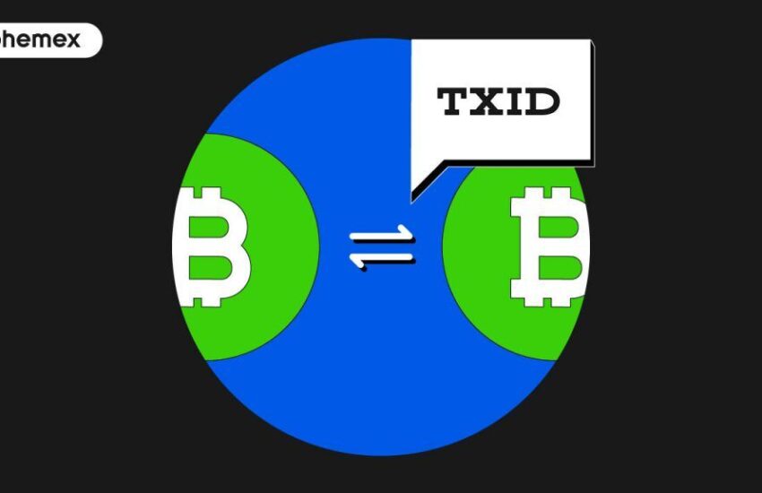 Tx Id (Transaction ID)
