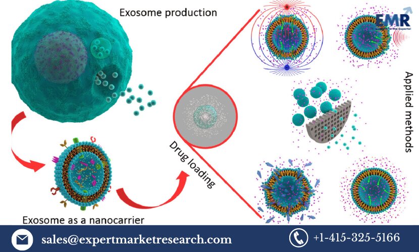 Exosomes Drug Market