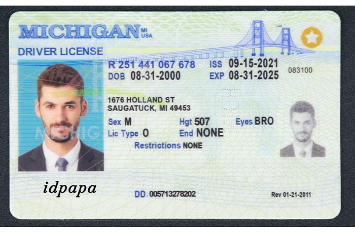 Fake License