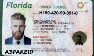 Fake Florida ID