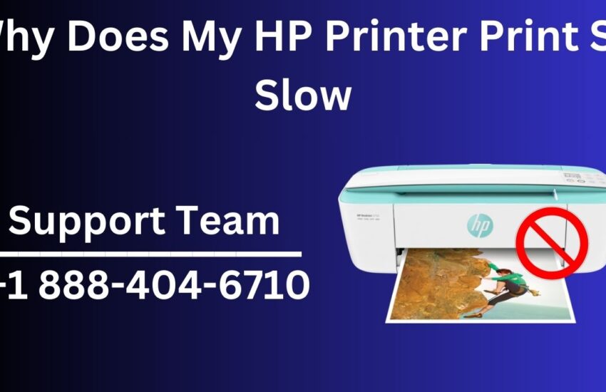 hp printers - slow printing (windows macos)