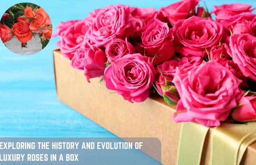 Exploring the History and Evolution of Luxury Roses in a Box