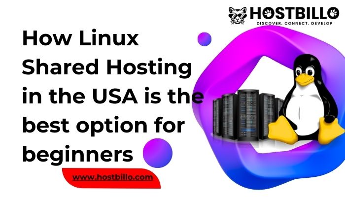 How Linux Shared Hosting in the USA is the best option for beginners