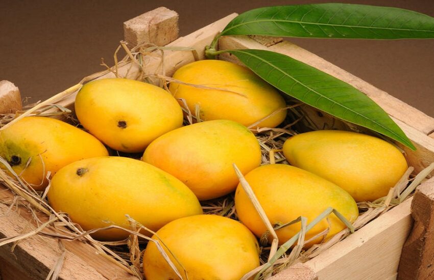 An image of Pakistani Mango Price in Pakistan