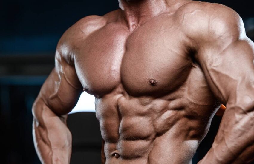 The Complete Guide to Improvement Techniques for Bodybuilding