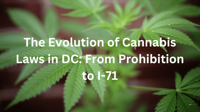 Cannabis Laws in DC