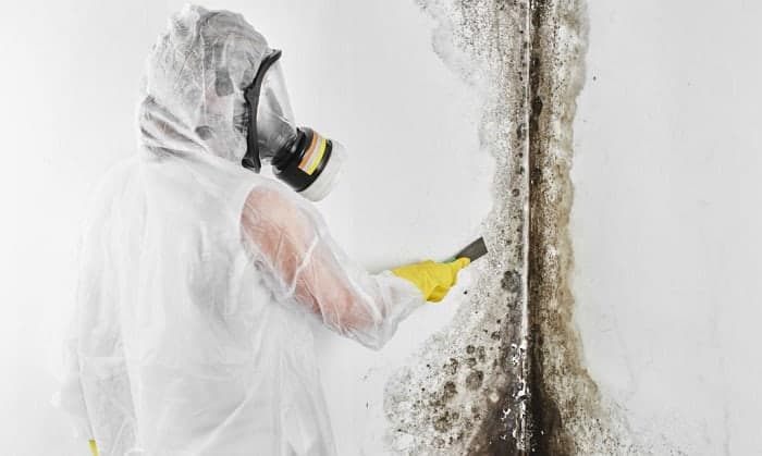 Is an N95 Mask Effective Against Black Mold