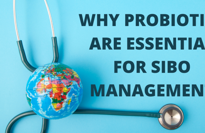 Why Probiotics Are Essential for SIBO Management