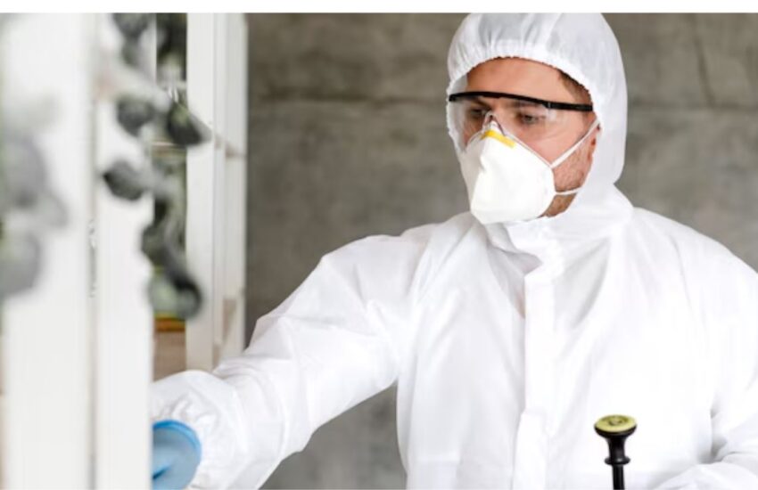 7 Tips To Choose the Right Mold Inspection Specialists in New Jersey
